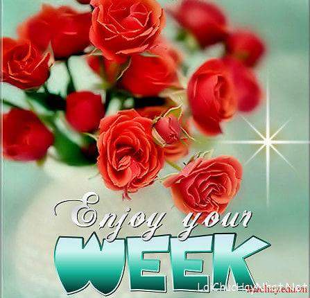 FB_IMG_1501570321634.jpg