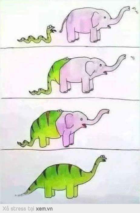 FB_IMG_1504670744357.jpg