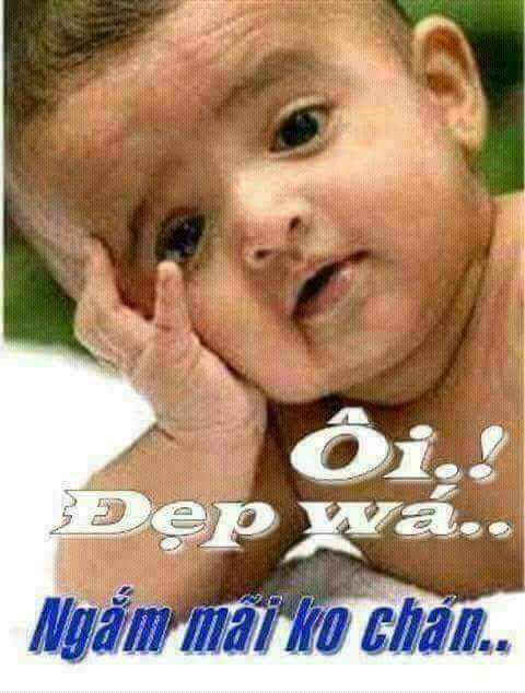 FB_IMG_1505106181557.jpg