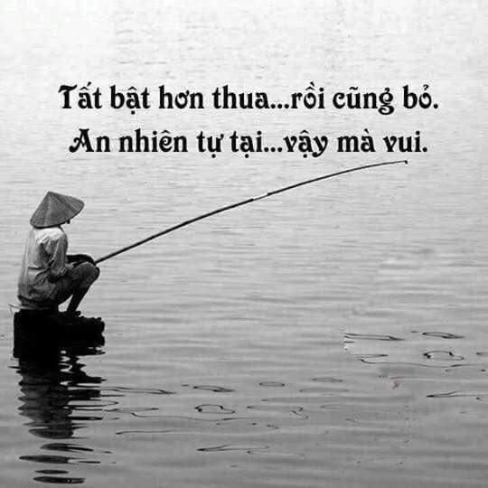 FB_IMG_1506589934543.jpg