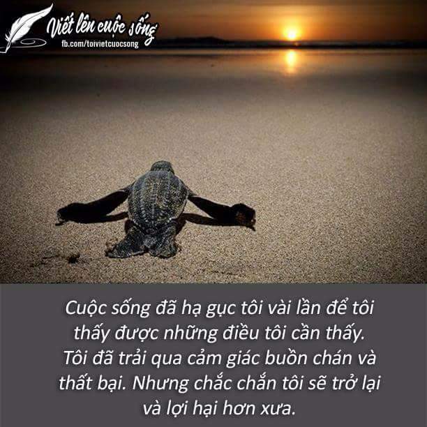 FB_IMG_1511063234648.jpg