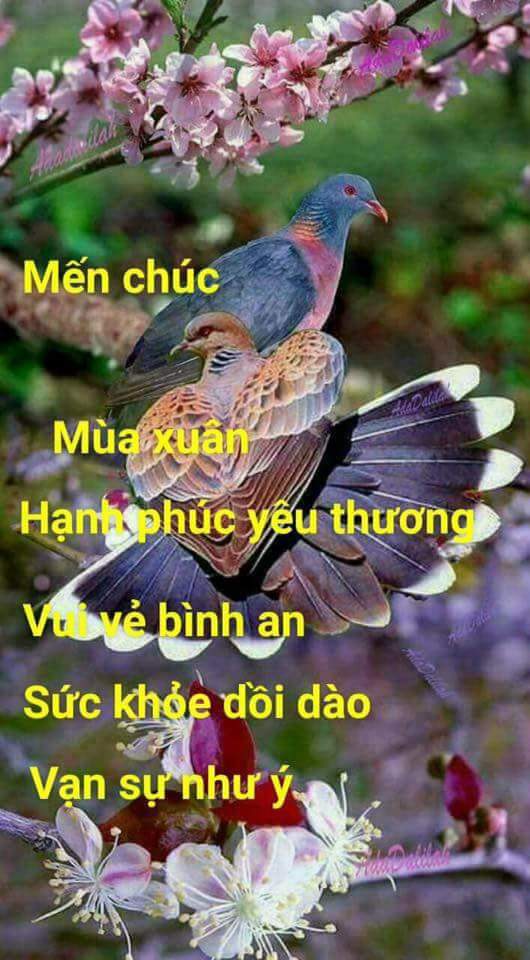 FB_IMG_1518666415238.jpg