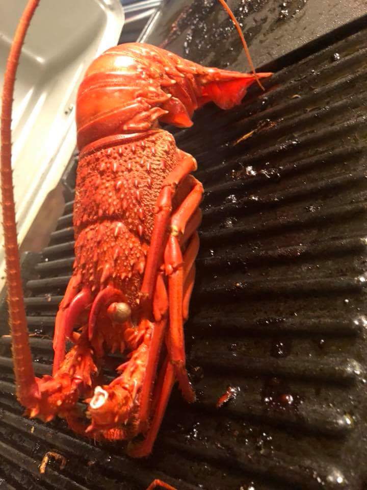 FB_IMG_1518786142060.jpg