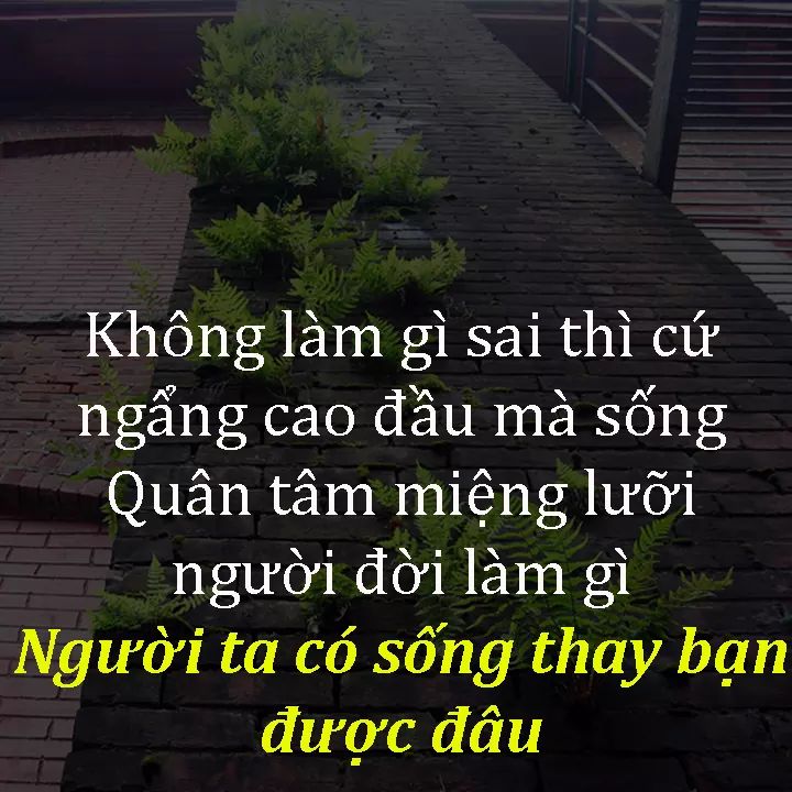 FB_IMG_1527491656980.jpg