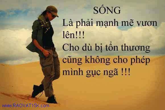 FB_IMG_1527924830533.jpg