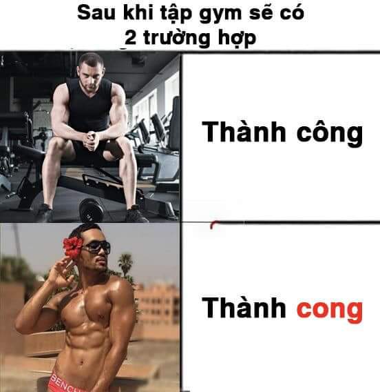FB_IMG_1544765659472.jpg