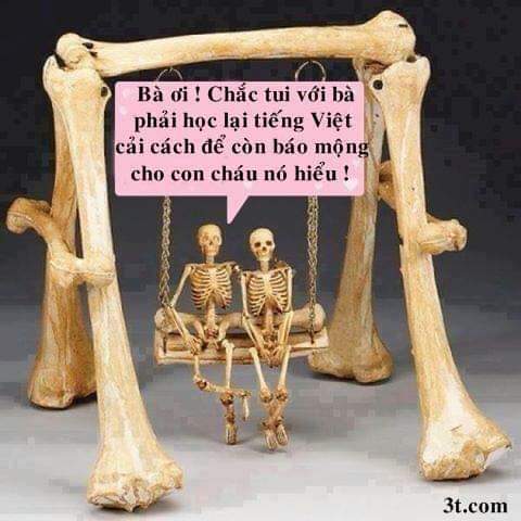 FB_IMG_1546759651410.jpg