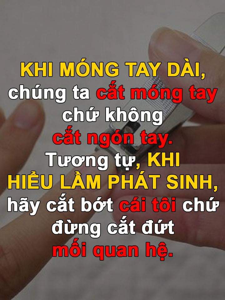 FB_IMG_1547484219466.jpg