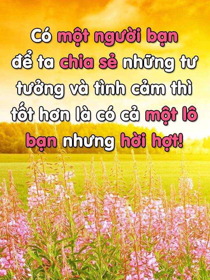 FB_IMG_1547484283300.jpg