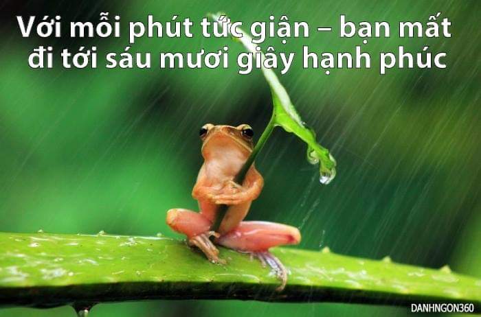 FB_IMG_1557234547670.jpg