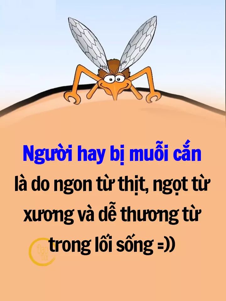 FB_IMG_1586952696820.jpg