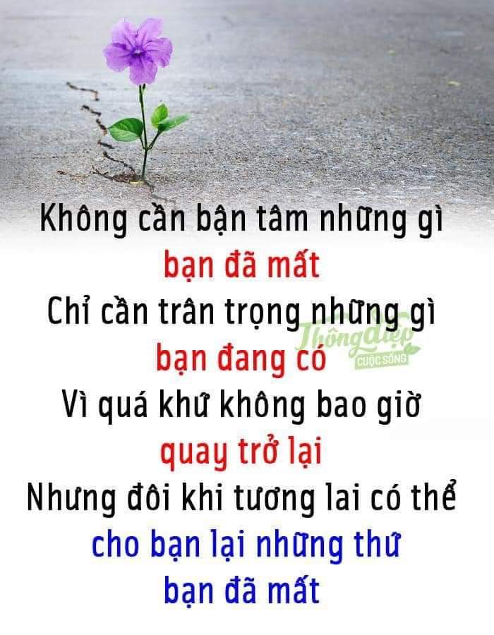 FB_IMG_1592318279954.jpg