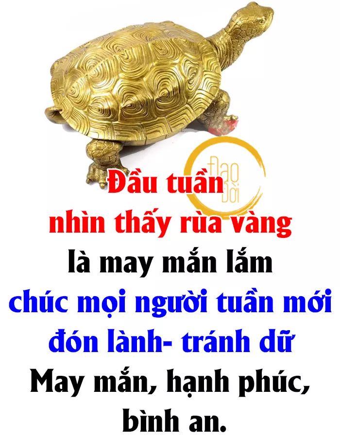 FB_IMG_1600058321936.jpg