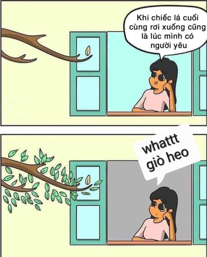 FB_IMG_1698402966156.jpg