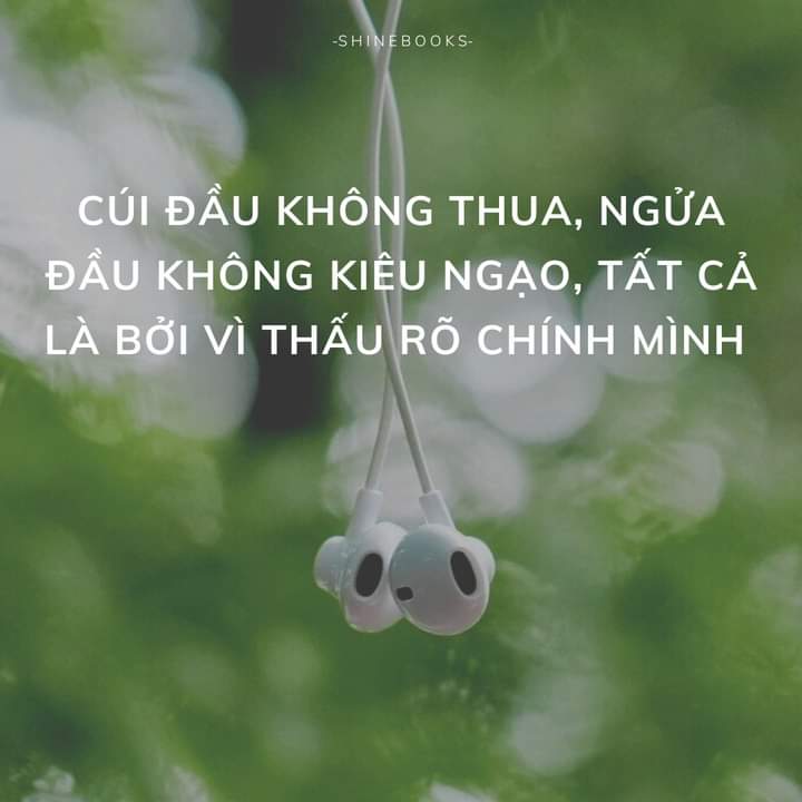 FB_IMG_1705129726555.jpg