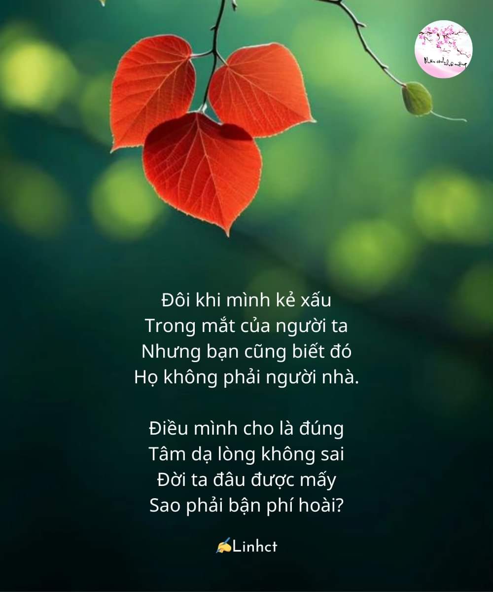 FB_IMG_1706333583264.jpg