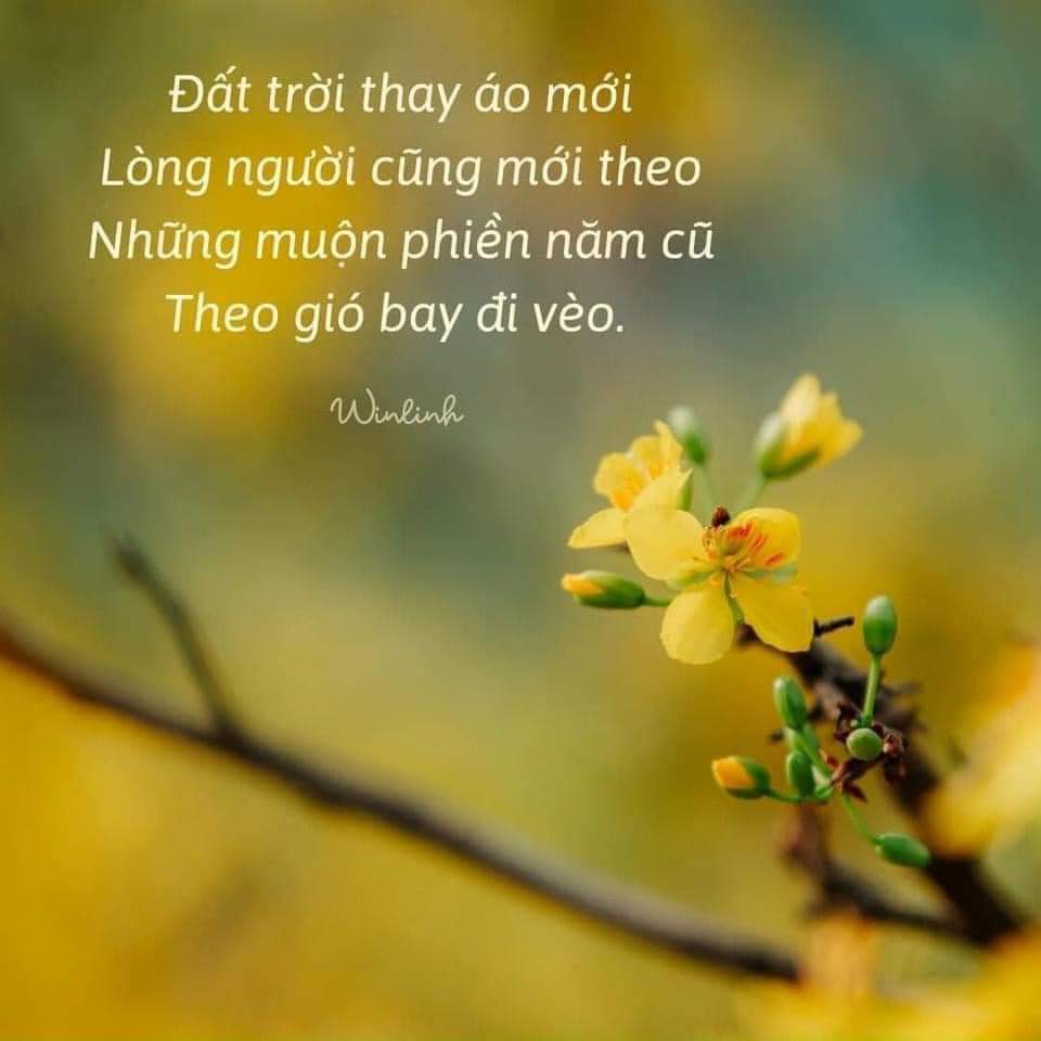 FB_IMG_1706749327799.jpg