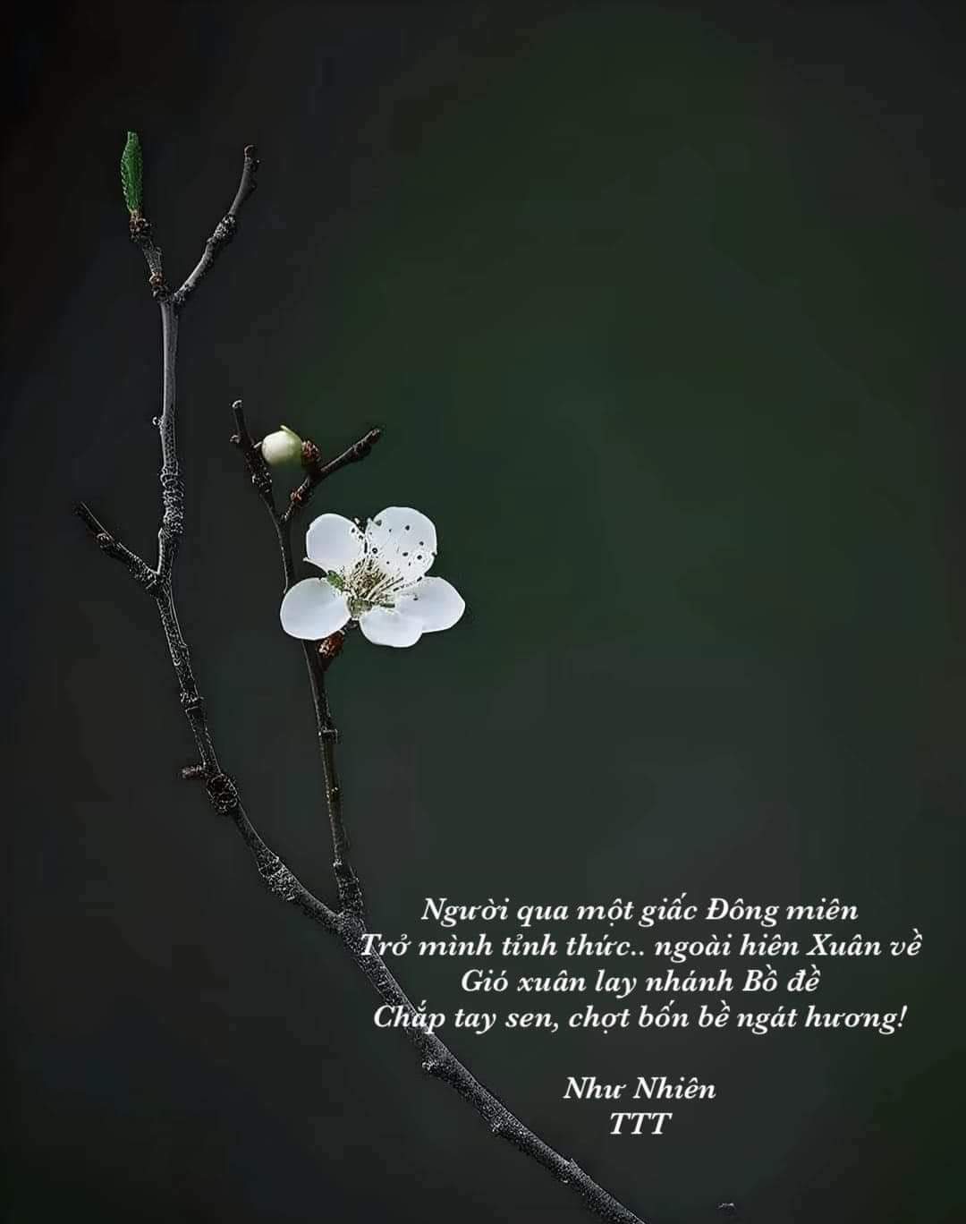 FB_IMG_1706964767155.jpg