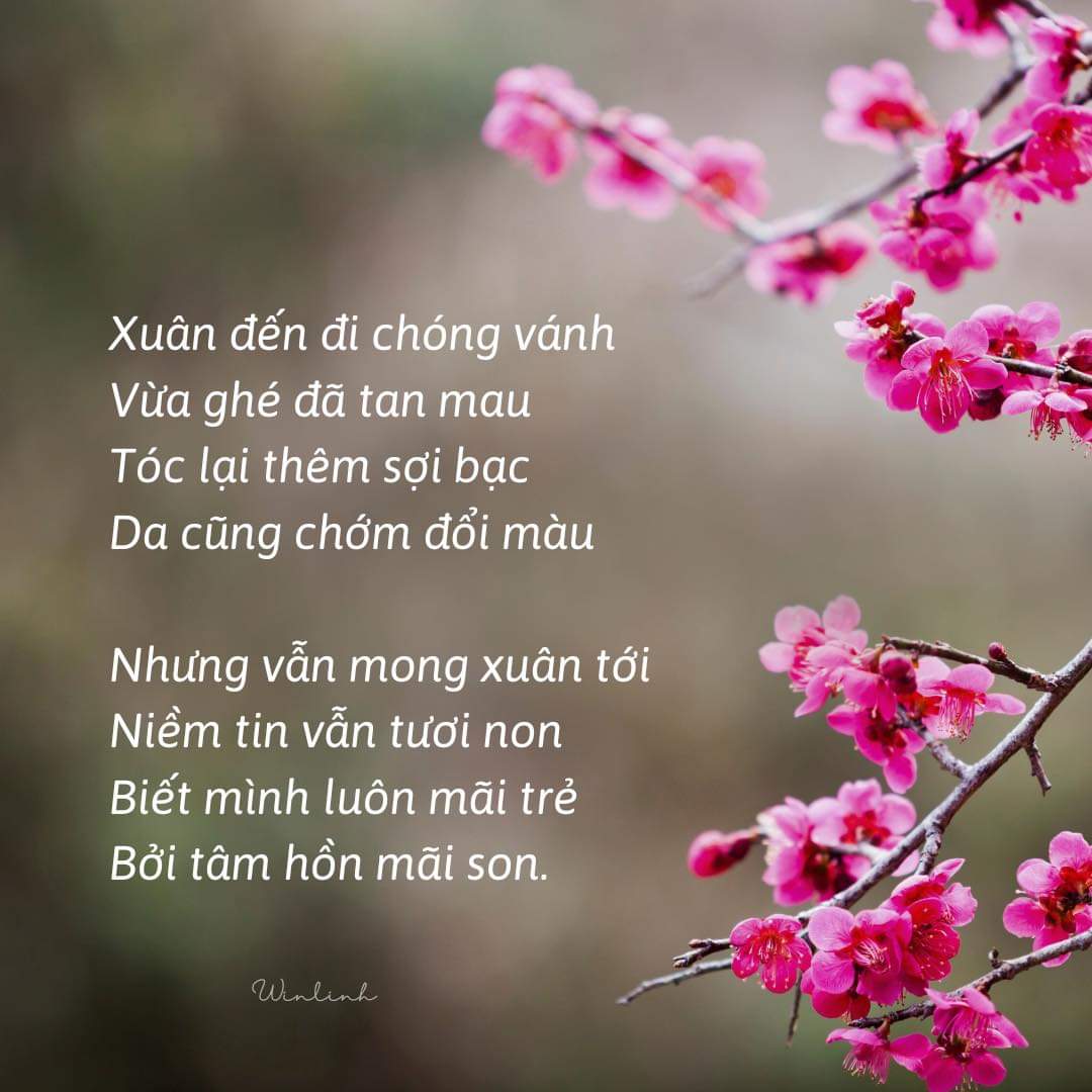 FB_IMG_1707818805198.jpg