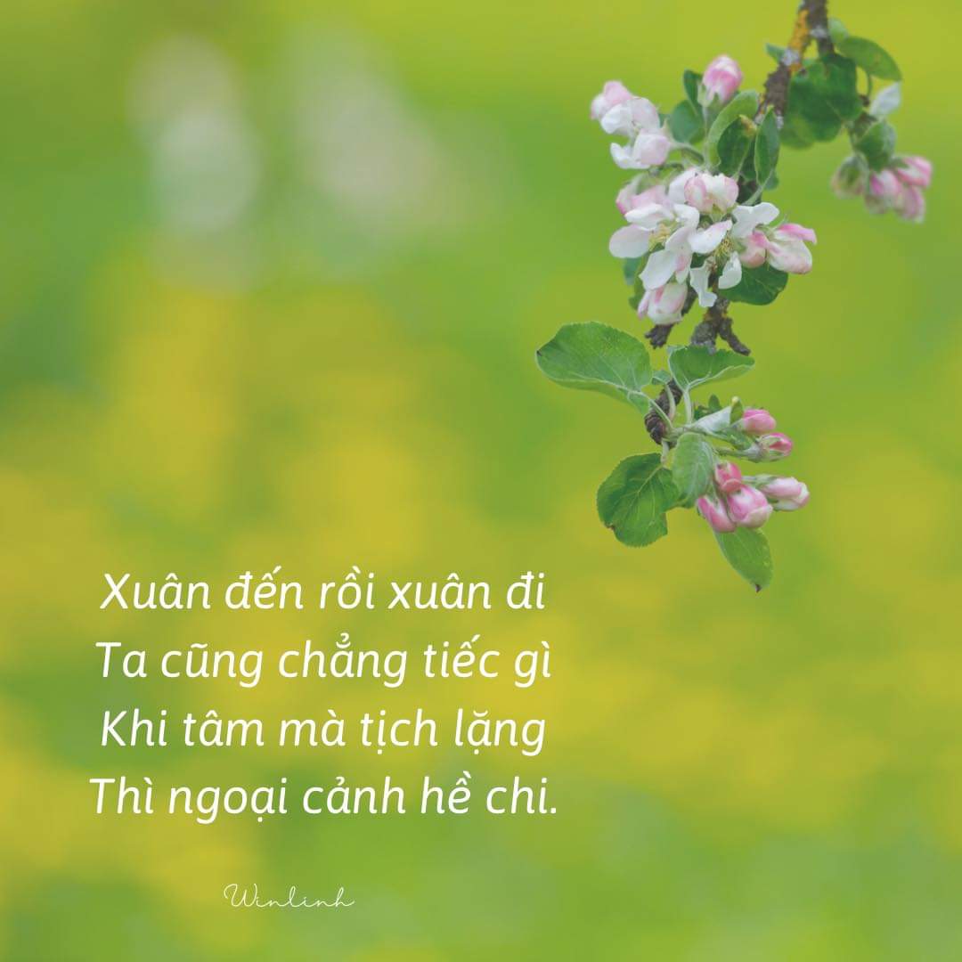 FB_IMG_1708064530240.jpg