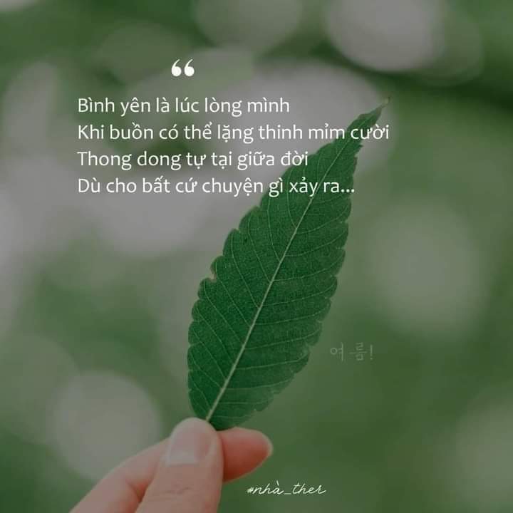 FB_IMG_1708098185688.jpg