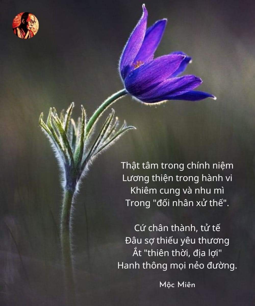 FB_IMG_1708531770031.jpg