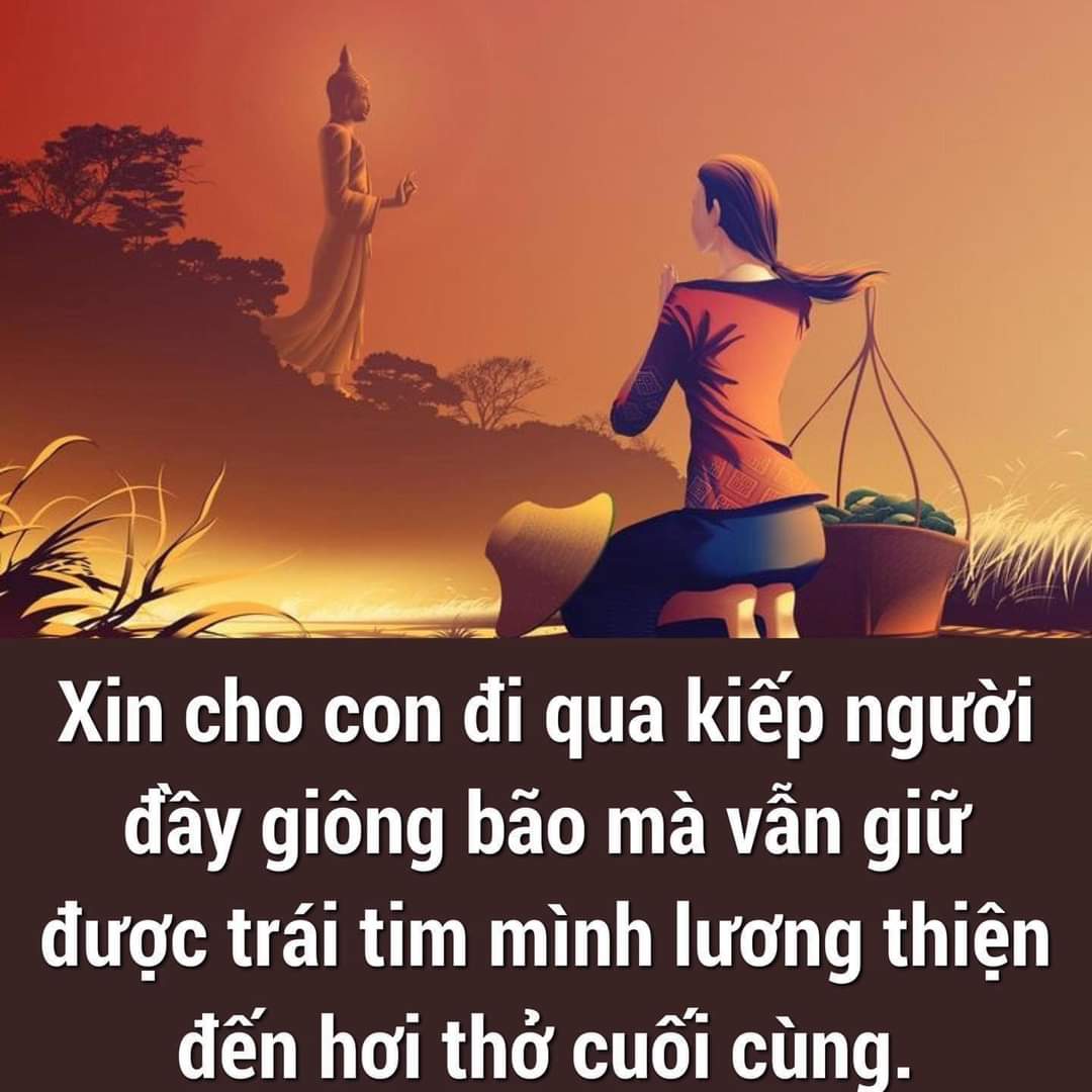 FB_IMG_1708824101943.jpg