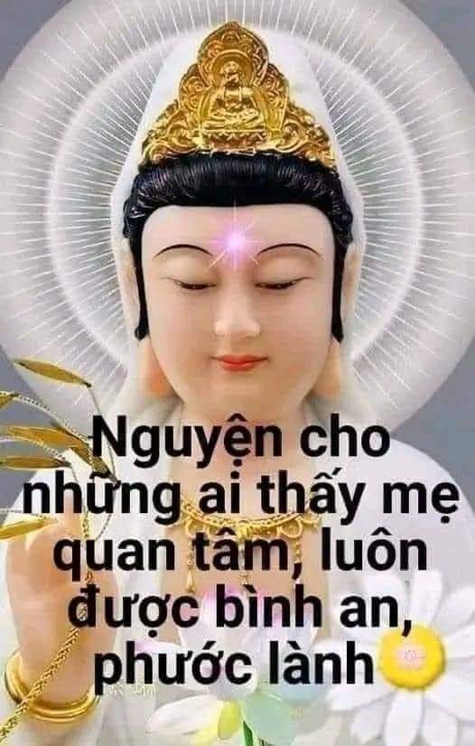 FB_IMG_1712805279051.jpg
