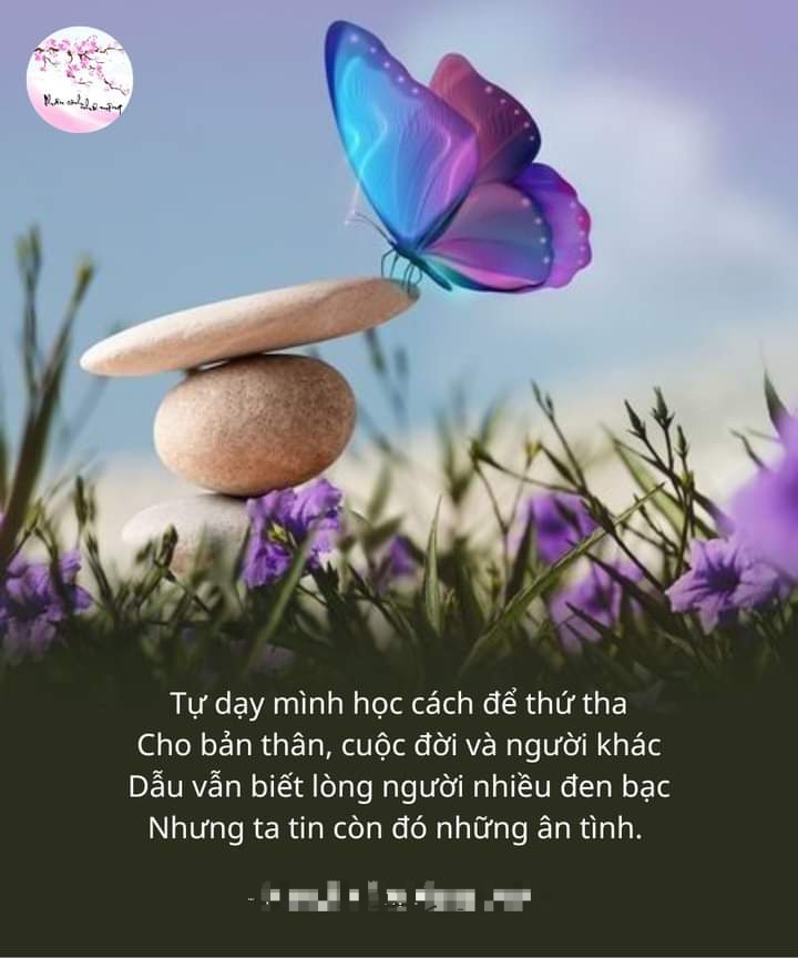 FB_IMG_1717038478023.jpg