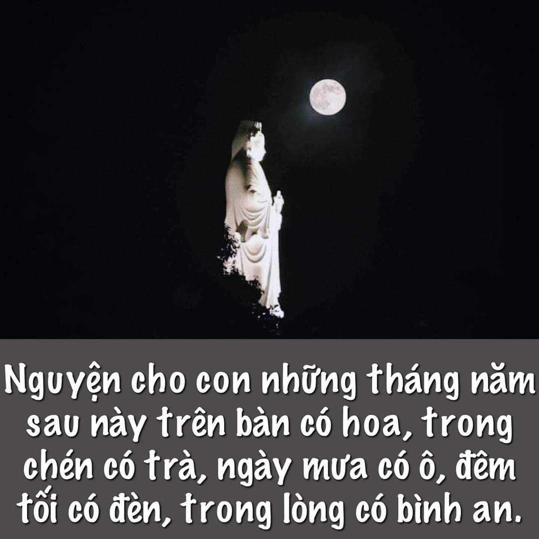 FB_IMG_1717950013313.jpg
