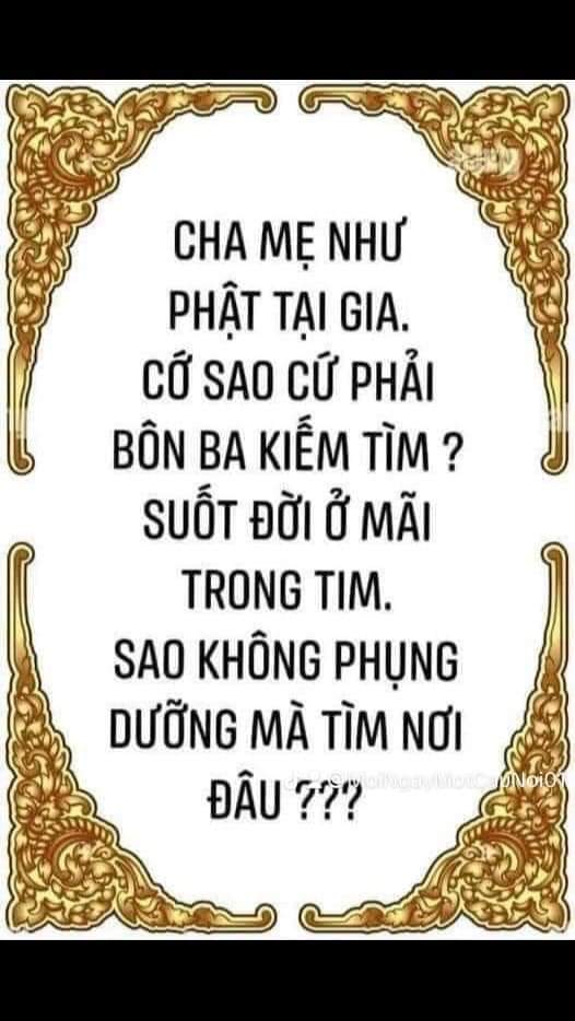 FB_IMG_1717997515134.jpg