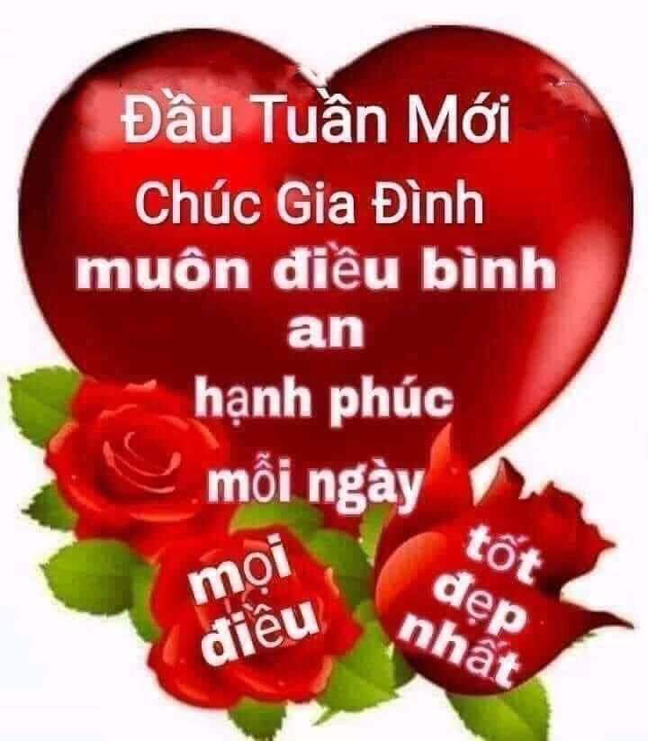 FB_IMG_1719195305697.jpg
