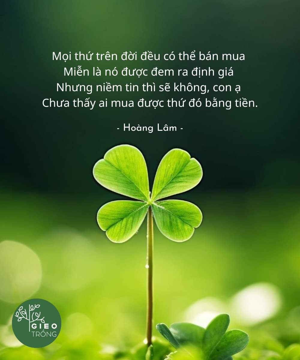 FB_IMG_1720874899399.jpg