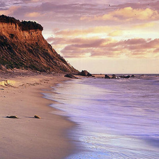 fe42410201001Asbestisland[1].jpg
