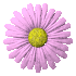 for-kwiat63.gif
