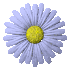 for-kwiat64.gif