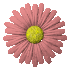 for-kwiat66.gif
