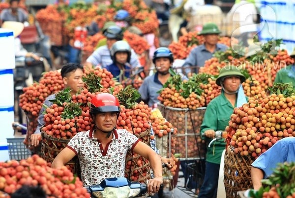giao-thong-tac-nghen-vi-nguoi-dan-cho-vai-luc-ngan-ua-ra-khap-duong[1].jpg