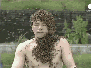 giphy-5.gif