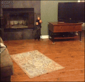 giphy (6).gif