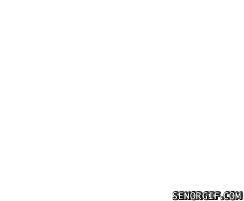 giphy (9).gif