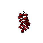 graphics-fireworks-495812.gif