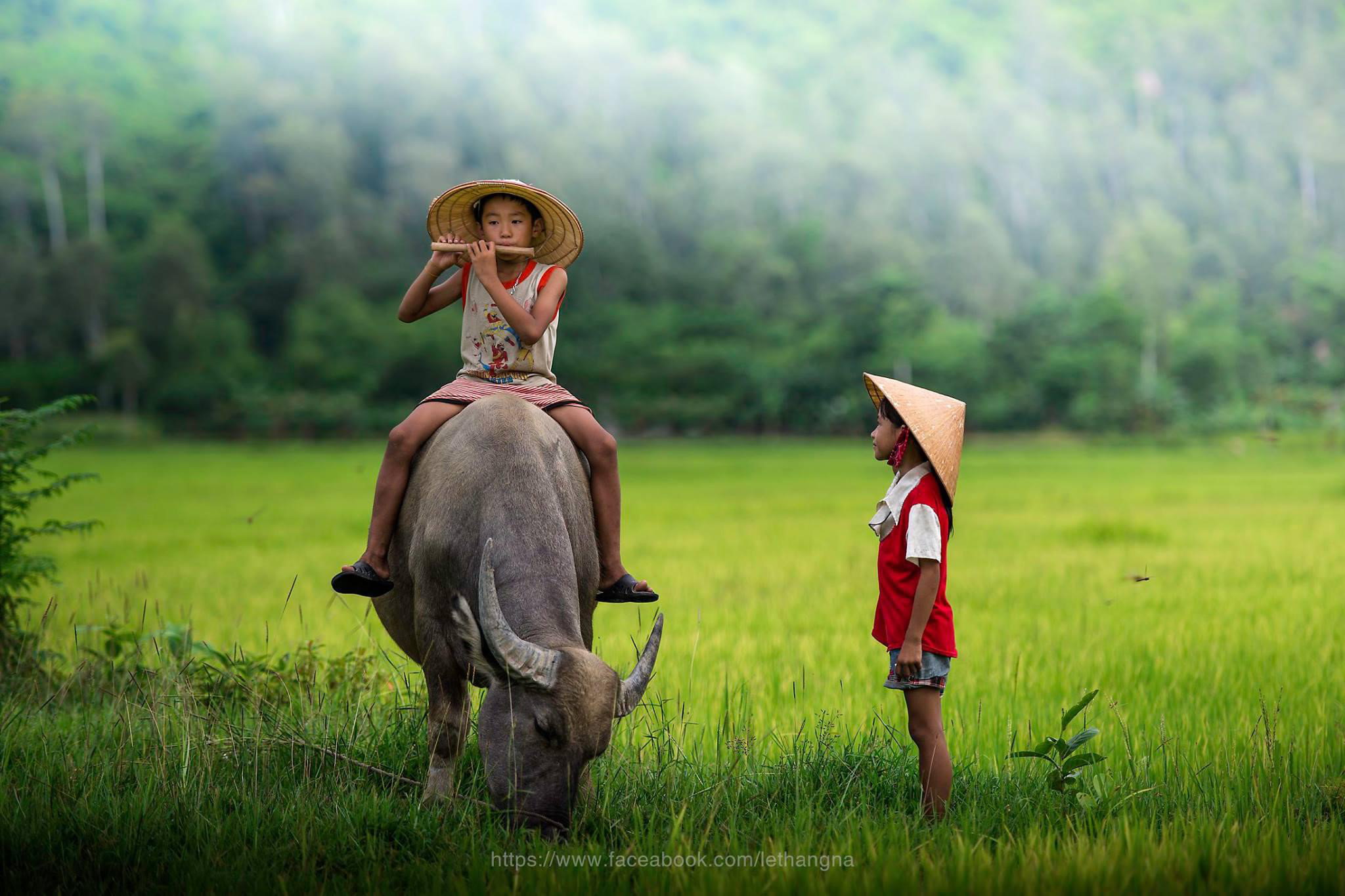 hinh-anh-lang-que-viet-nam-2.jpg