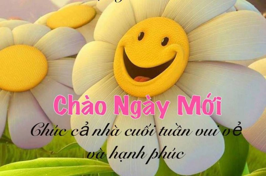 hinh-nen-chao-ngay-moi-1755225aceb4c46.jpg