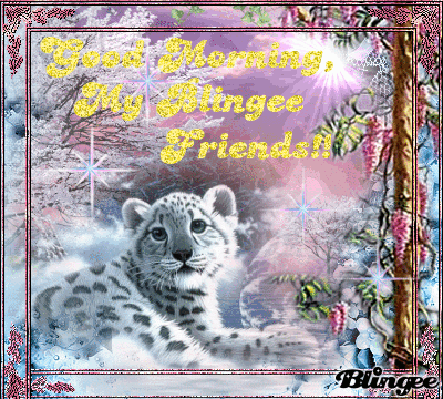 image.gif