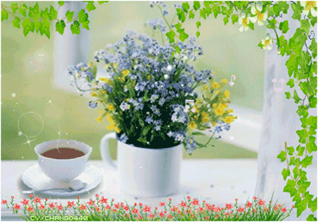 image.gif