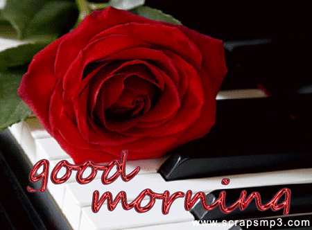 image.gif