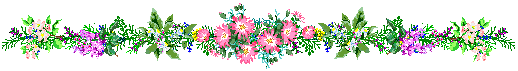 image.gif