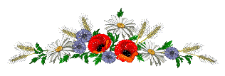 image.gif