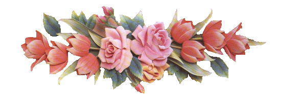 image.gif
